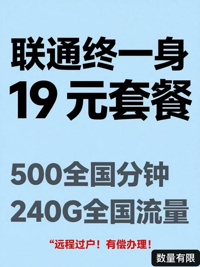 <strong>19 Ԫˣ240G  + 500 </strong>