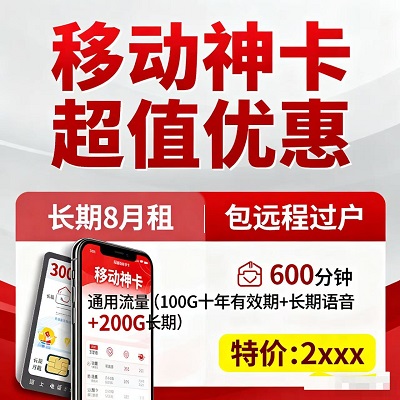 <strong>300Gͨ�������񻶣�100Gʮ�괢��+200G</strong>